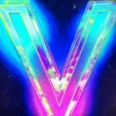V0RTEX_4453
