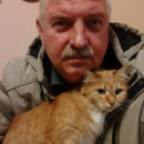 LOSIK