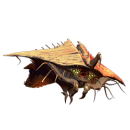 Apolon_11