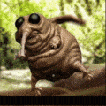 crazy_bug
