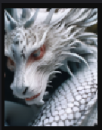 witedragon