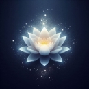 -LOTUS-