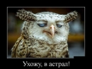 Alexsandr_Nikolaevih