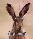 EgorDobriy