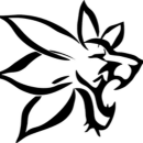 EDELWEIS