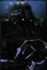 sabertiger