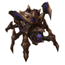 gvozdoder