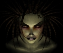 NetZerg