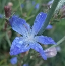 FYKA