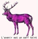 gotgot